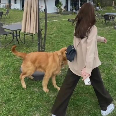 鬼眼狂刀