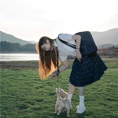 菊石
