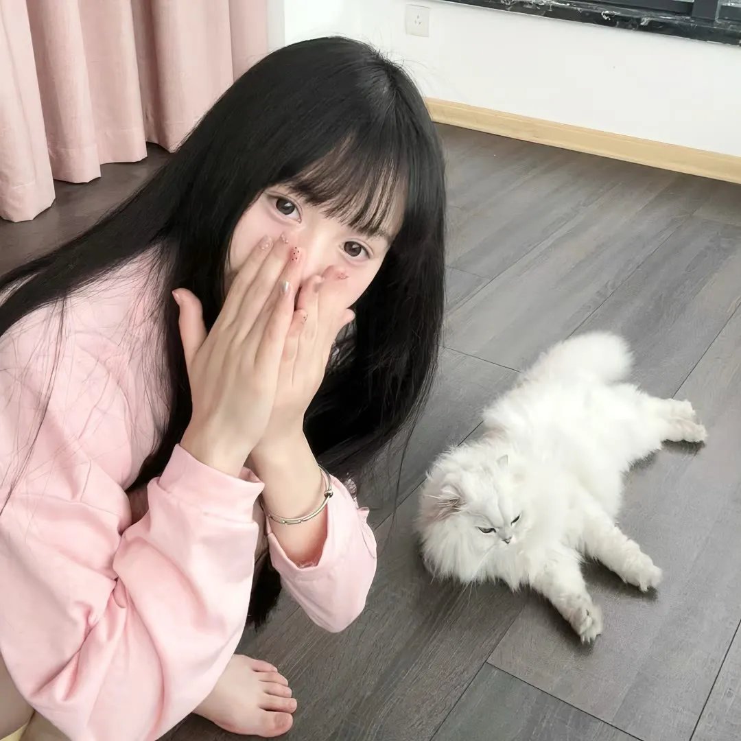 白痴之日